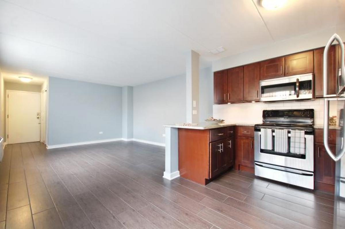 Picture of Apartment For Rent in Oak Park, Illinois, United States