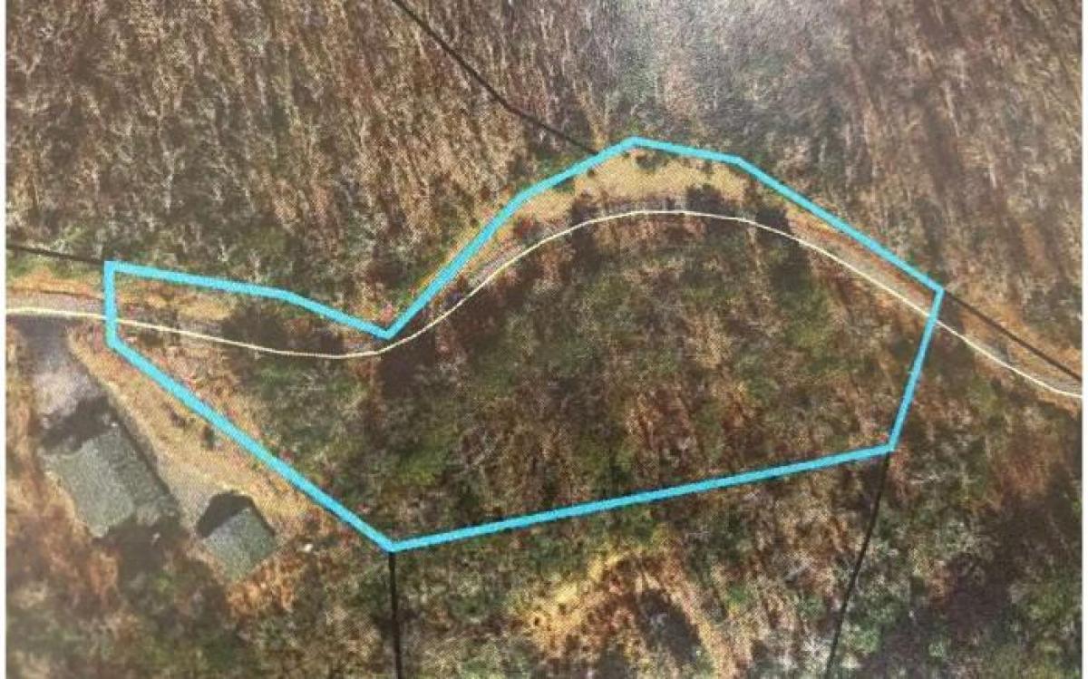Picture of Residential Land For Sale in Blairsville, Georgia, United States