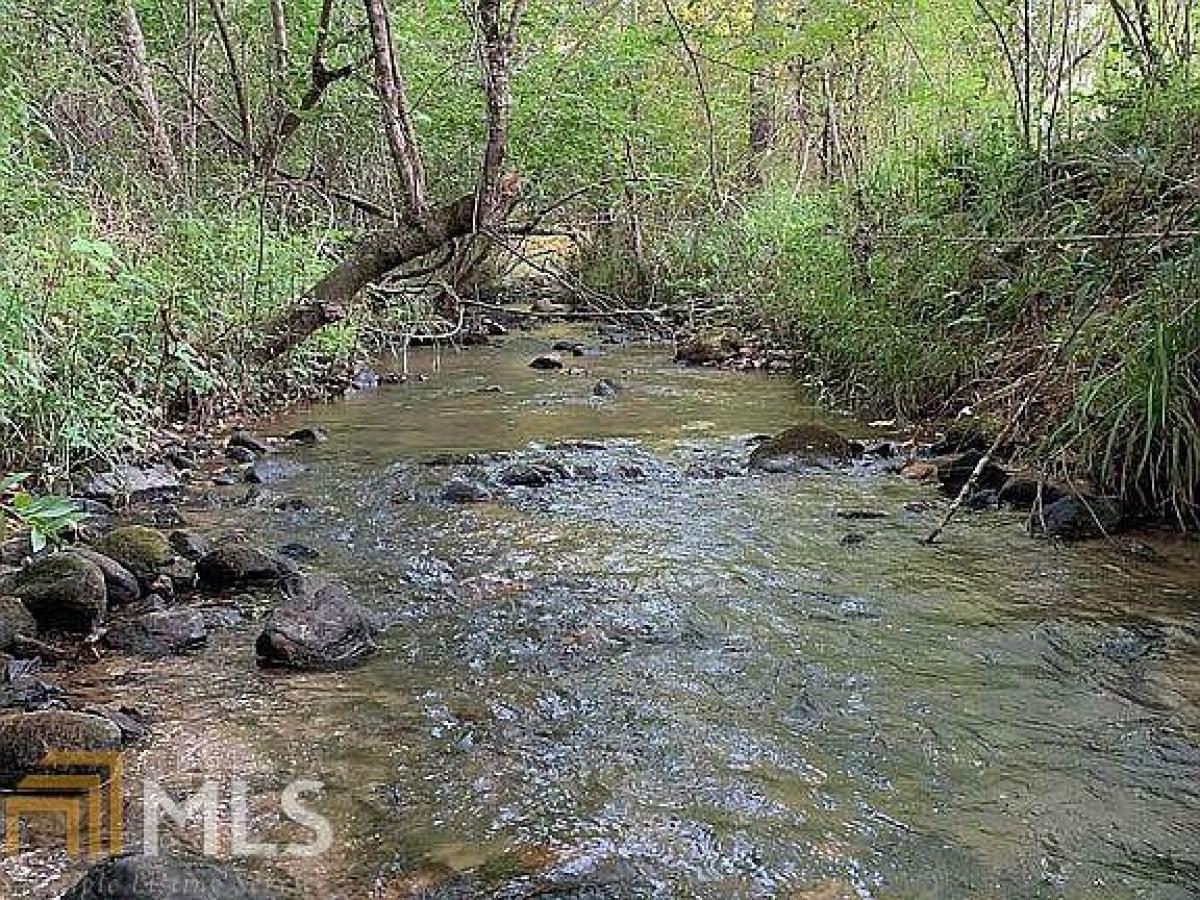 Picture of Residential Land For Sale in Morganton, Georgia, United States