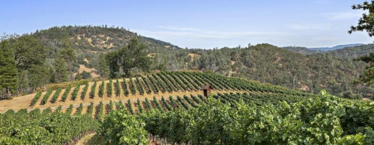 Picture of Residential Land For Sale in Lower Lake, California, United States