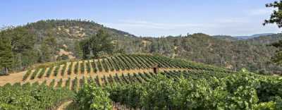 Residential Land For Sale in Lower Lake, California