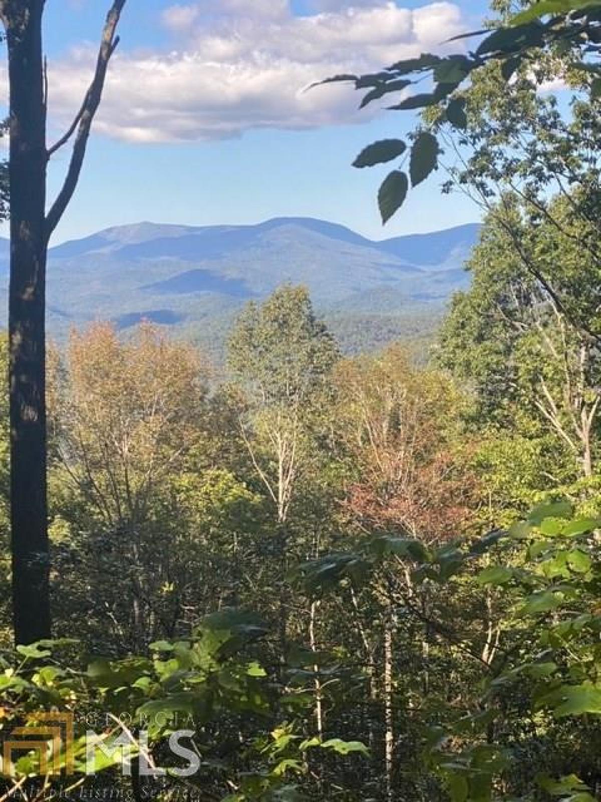 Picture of Residential Land For Sale in Tiger, Georgia, United States