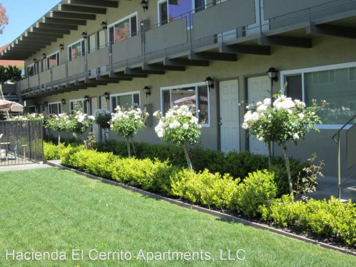 Picture of Apartment For Rent in El Cerrito, California, United States