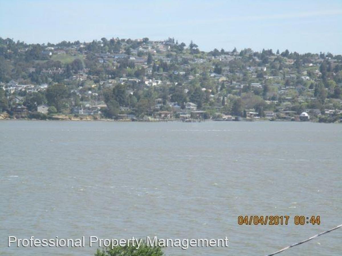 Picture of Apartment For Rent in Port Costa, California, United States