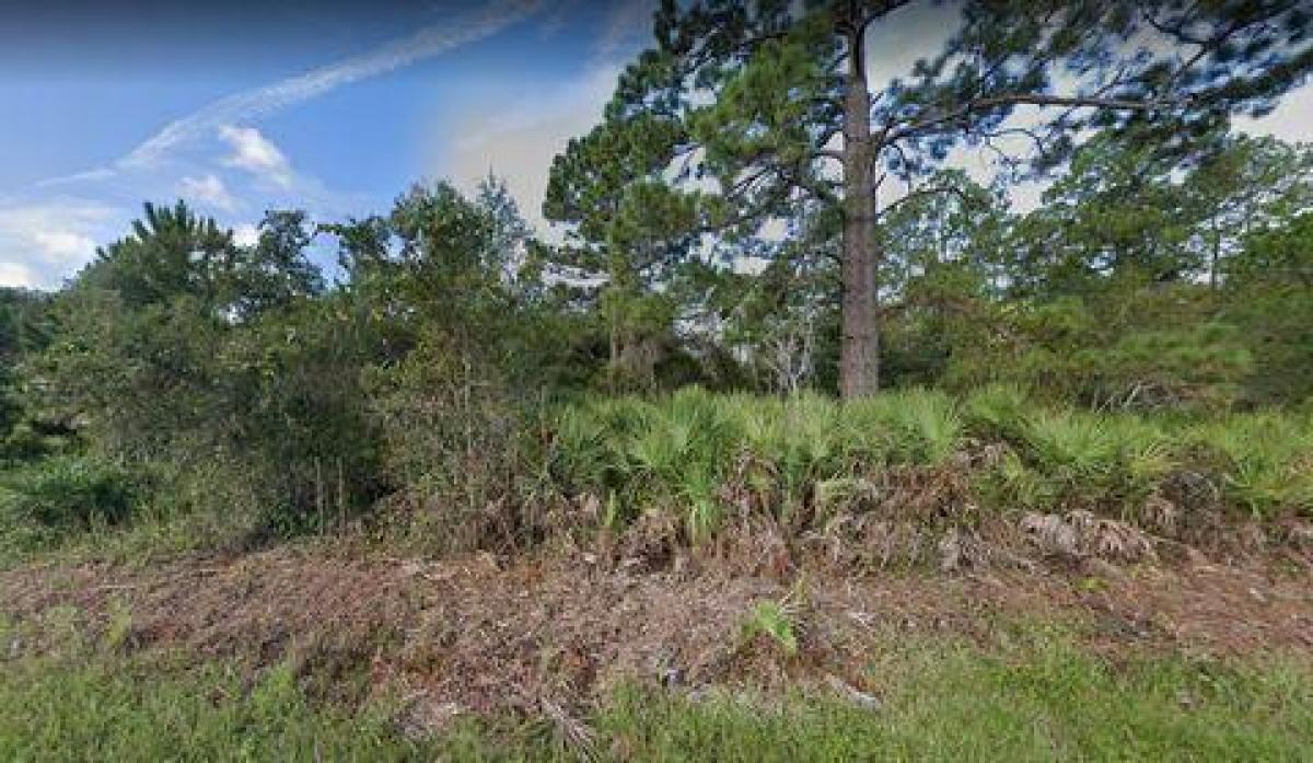 Picture of Residential Land For Sale in Deland, Florida, United States