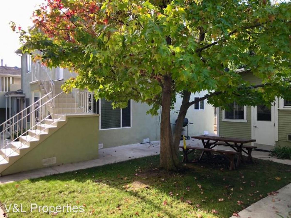 Picture of Apartment For Rent in Santa Monica, California, United States