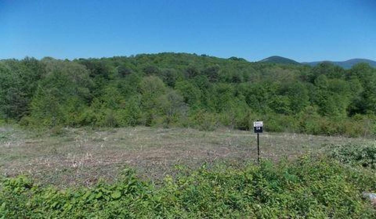 Picture of Residential Land For Sale in Nebo, North Carolina, United States