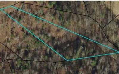 Residential Land For Sale in Young Harris, Georgia