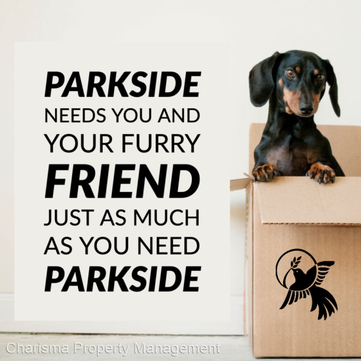 Picture of Apartment For Rent in Tea, South Dakota, United States