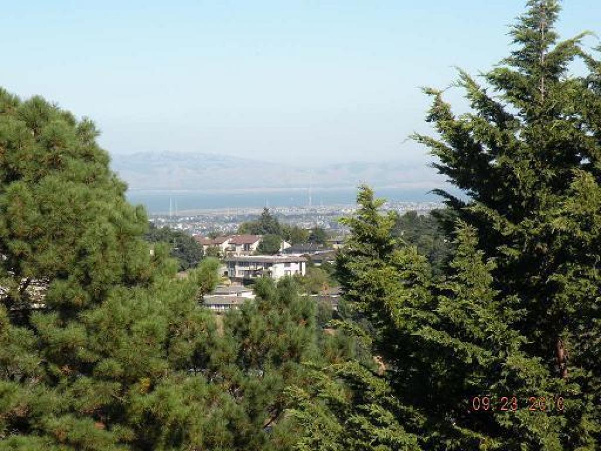 Picture of Apartment For Rent in San Mateo, California, United States
