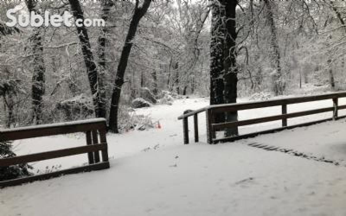 Picture of Apartment For Rent in Nassau, New York, United States