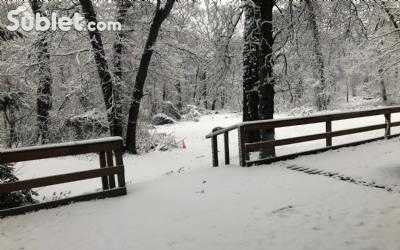 Apartment For Rent in Nassau, New York