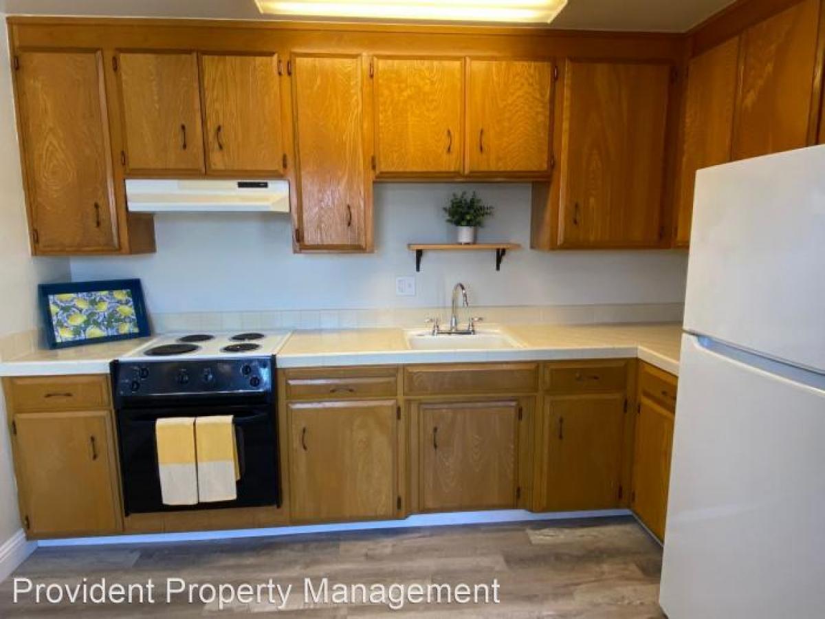 Picture of Apartment For Rent in Santa Clara, California, United States