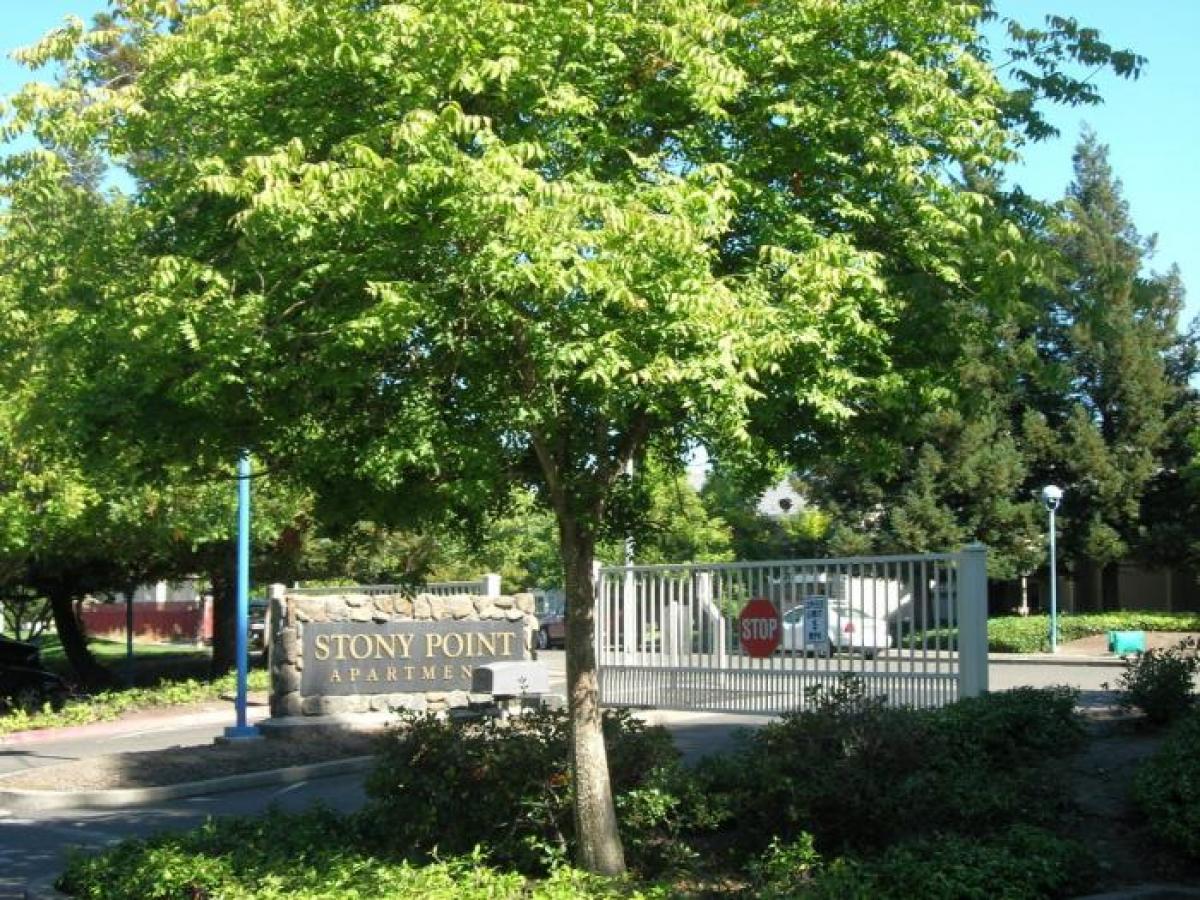 Picture of Apartment For Rent in Santa Rosa, California, United States