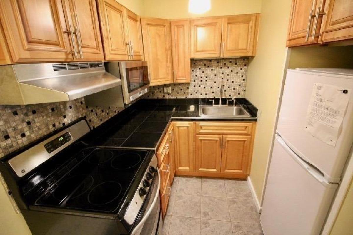 Picture of Apartment For Rent in Arlington, Massachusetts, United States