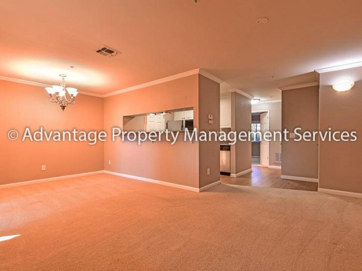 Picture of Condo For Rent in San Ramon, California, United States