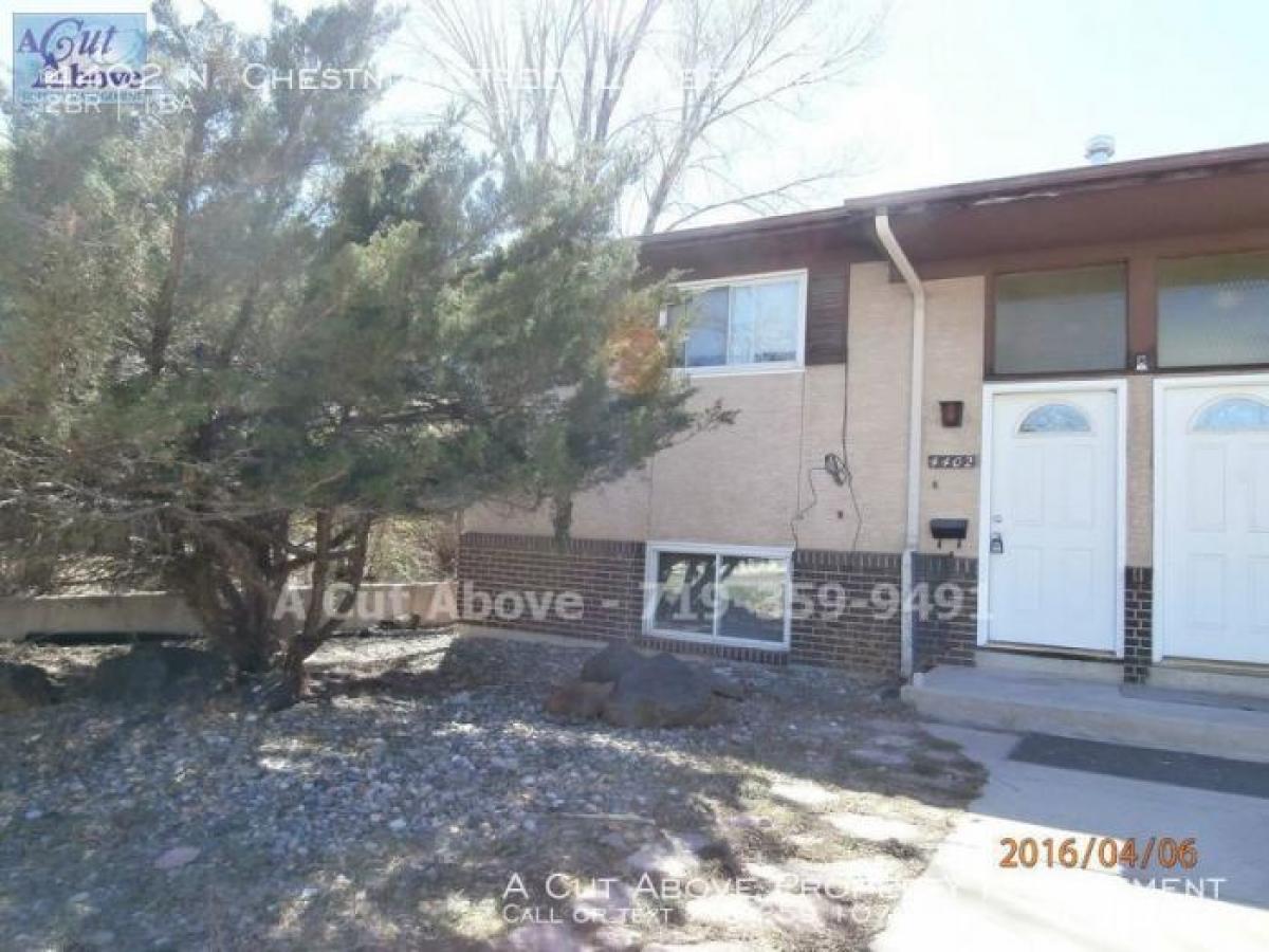 Picture of Apartment For Rent in Colorado Springs, Colorado, United States