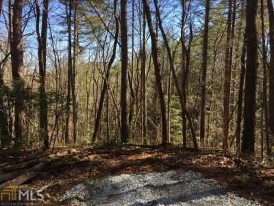 Residential Land For Sale in Tiger, Georgia