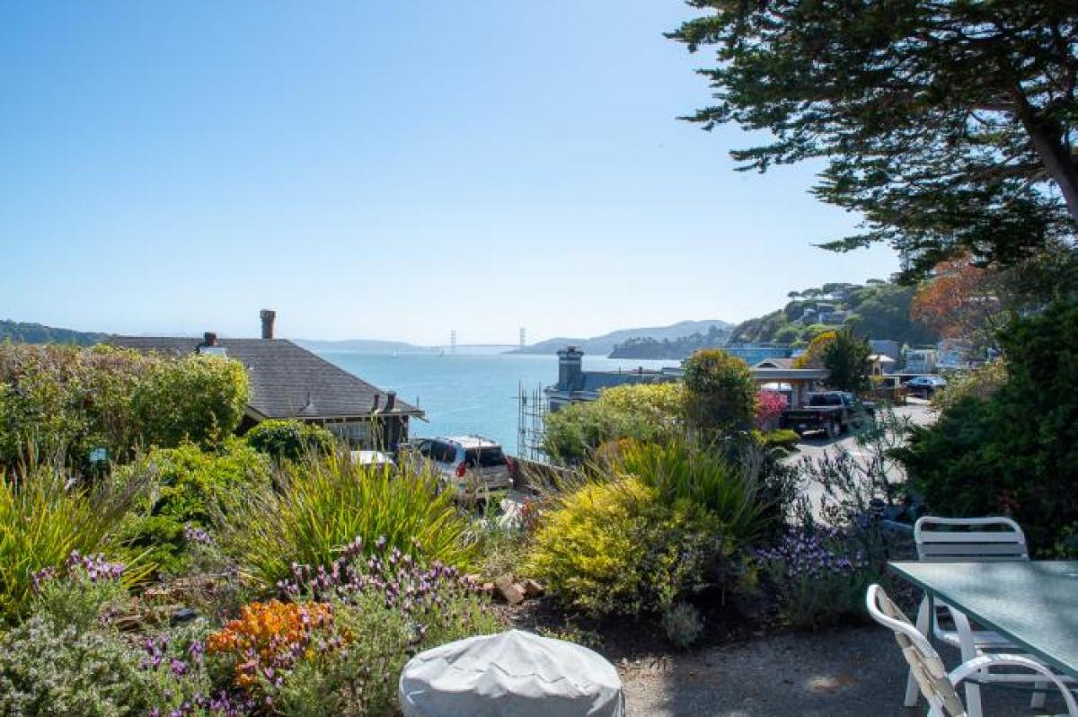 Picture of Apartment For Rent in Tiburon, California, United States