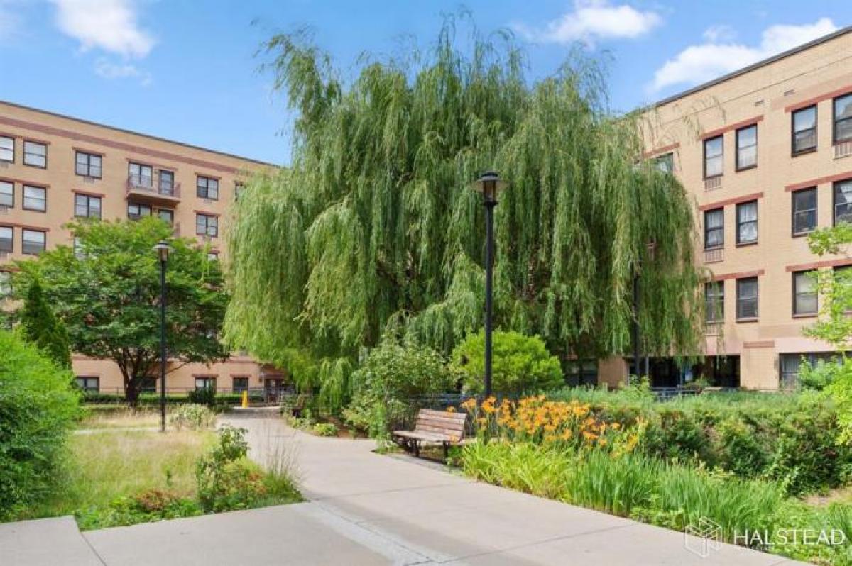 1901 MADISON AVENUE 429 in East Harlem, East Harlem, New York, United