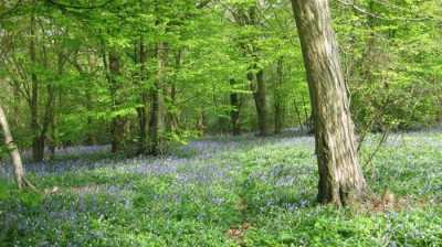 Home For Sale in East Quogue, New York