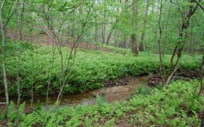 Residential Land For Sale in Blue Ridge, Georgia