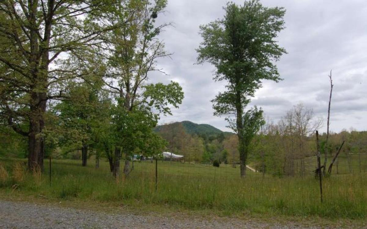 Picture of Home For Sale in Mineral Bluff, Georgia, United States