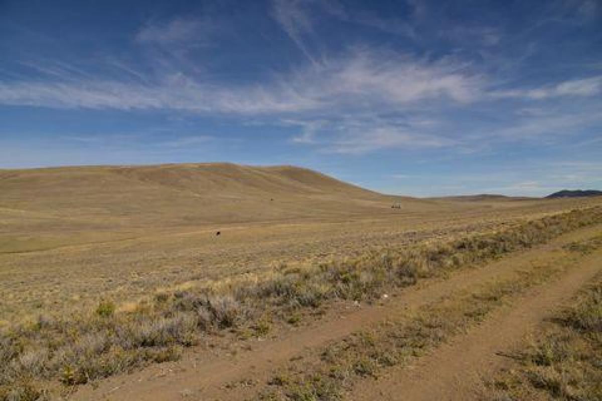 Picture of Residential Land For Sale in Hartsel, Colorado, United States
