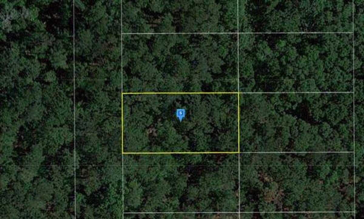 Picture of Residential Land For Sale in Live Oak, Florida, United States