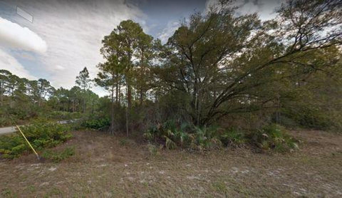 Picture of Residential Land For Sale in Alva, Florida, United States