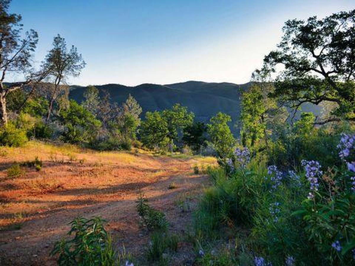 Picture of Residential Land For Sale in Coulterville, California, United States