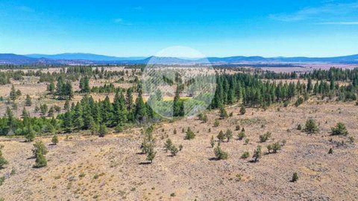 Picture of Residential Land For Sale in Chiloquin, Oregon, United States
