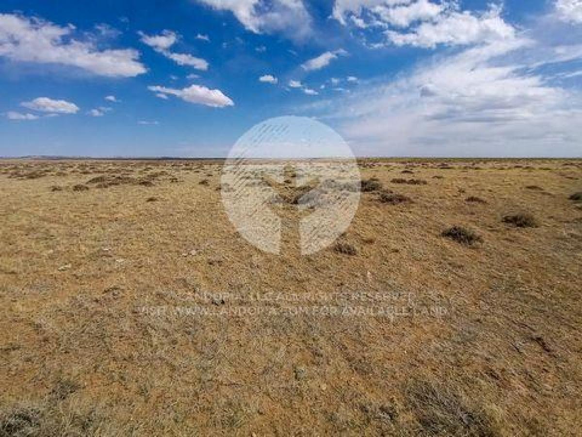 Picture of Residential Land For Sale in Medicine Bow, Wyoming, United States