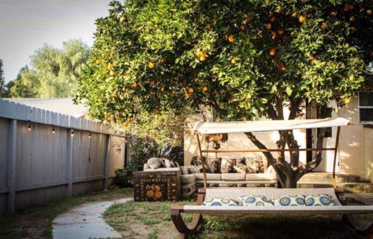 Picture of Apartment For Rent in Tarzana, California, United States