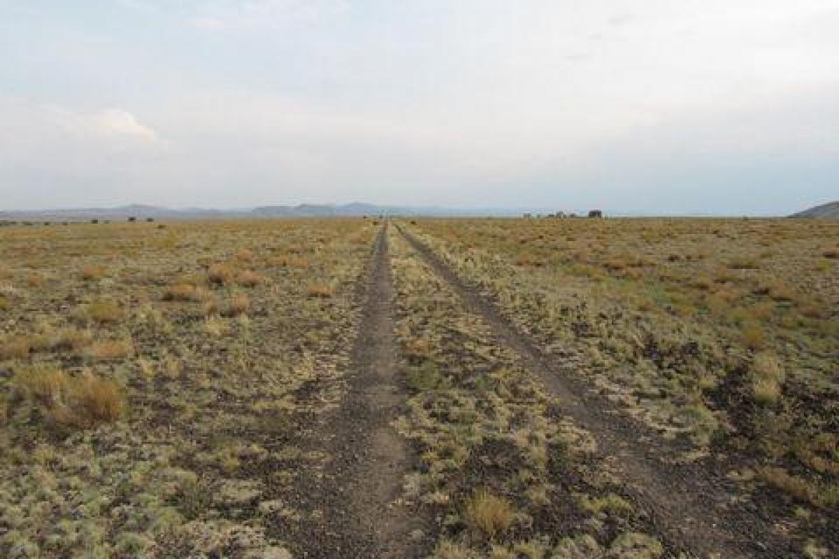 Picture of Residential Land For Sale in Concho, Arizona, United States