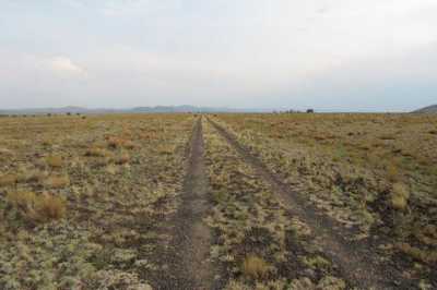 Residential Land For Sale in Concho, Arizona