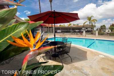 Apartment For Rent in 