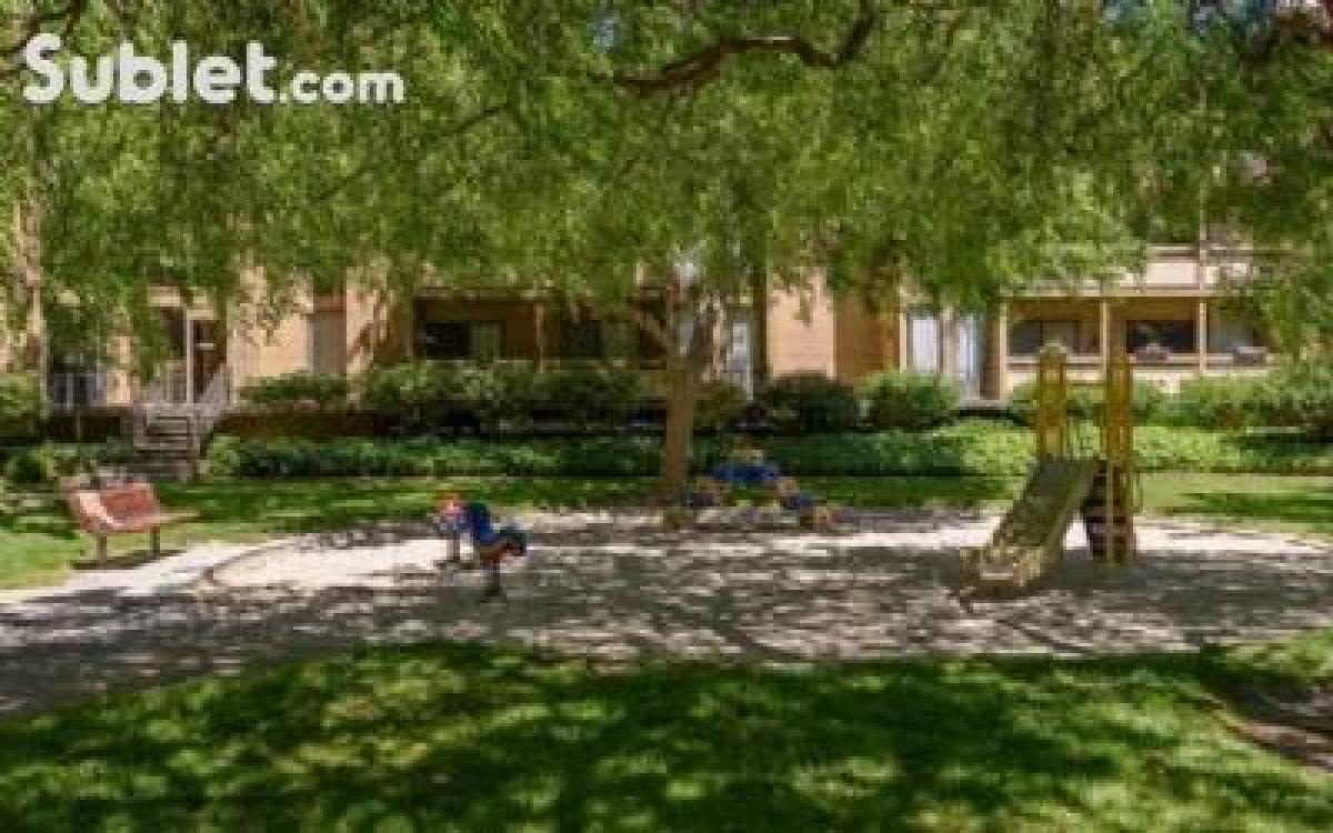 Picture of Apartment For Rent in San Mateo, California, United States