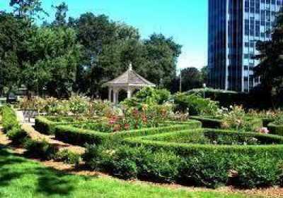 Apartment For Rent in San Mateo, California