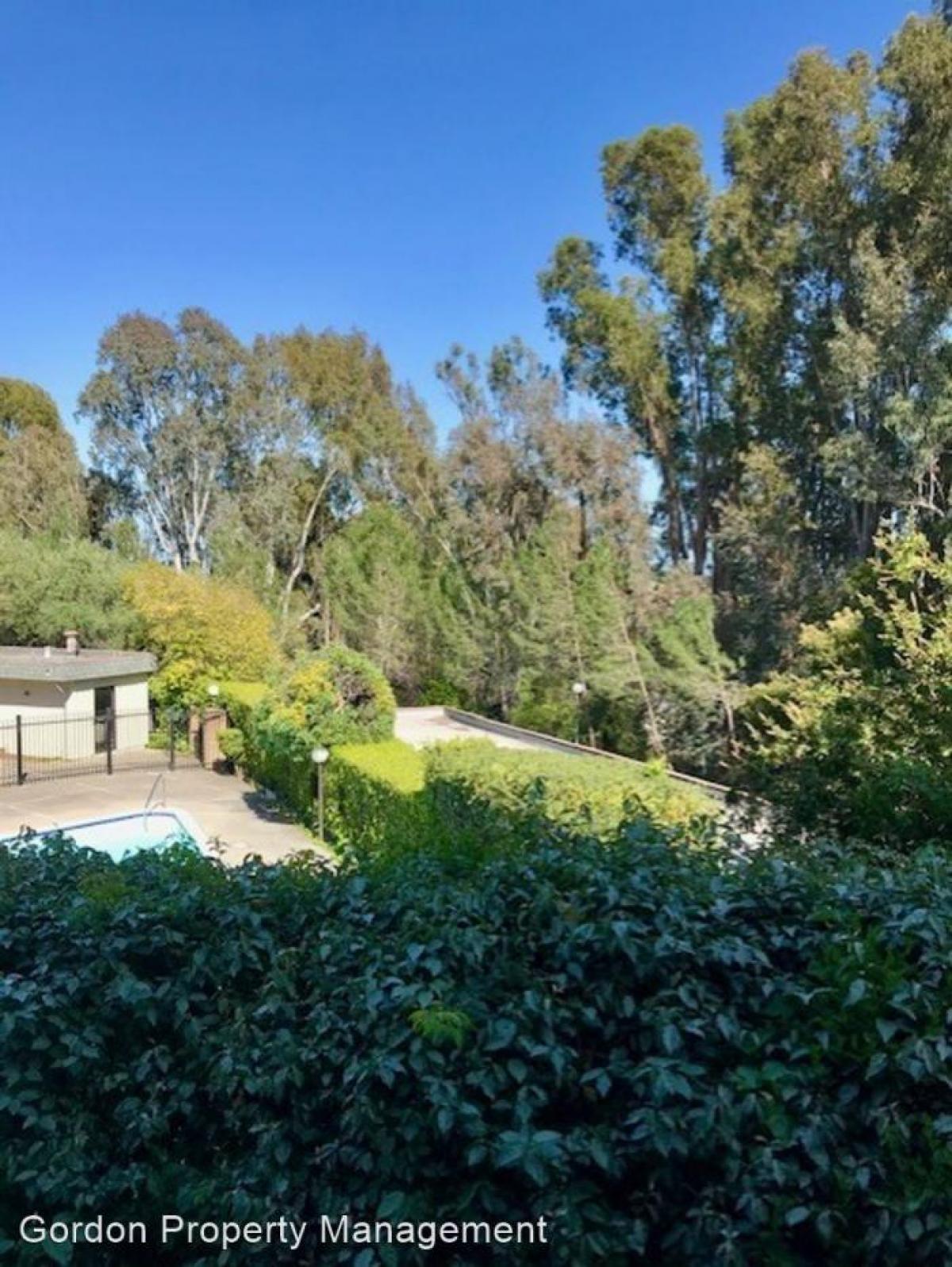 Picture of Apartment For Rent in Novato, California, United States