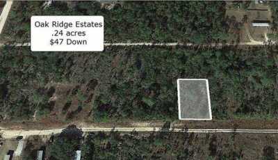 Residential Land For Sale in Williston, Florida