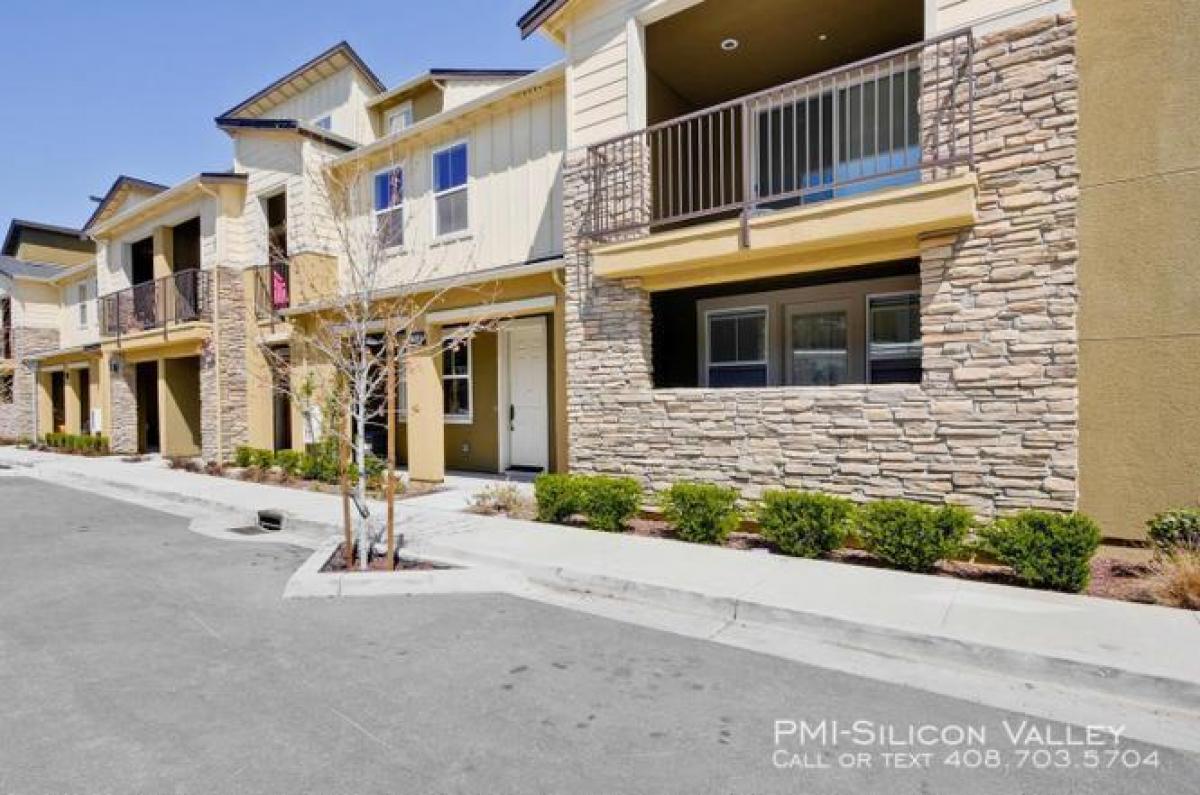 Picture of Condo For Rent in Milpitas, California, United States