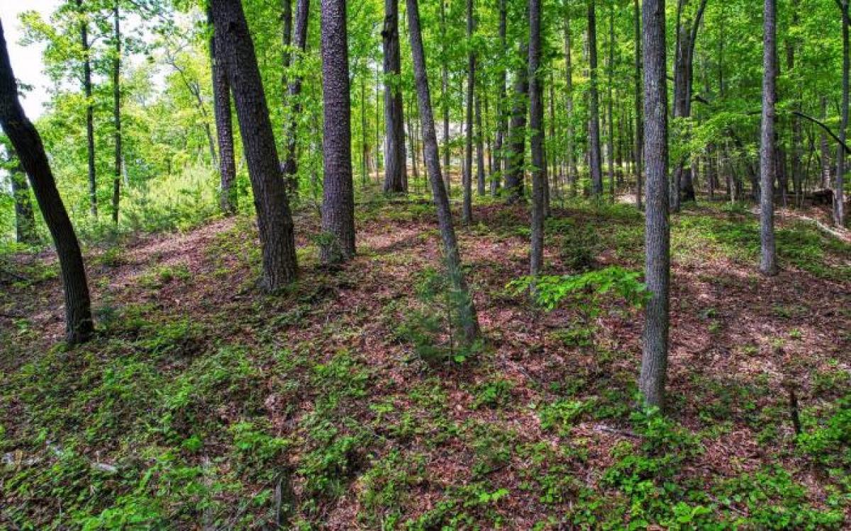 Picture of Residential Land For Sale in Blairsville, Georgia, United States