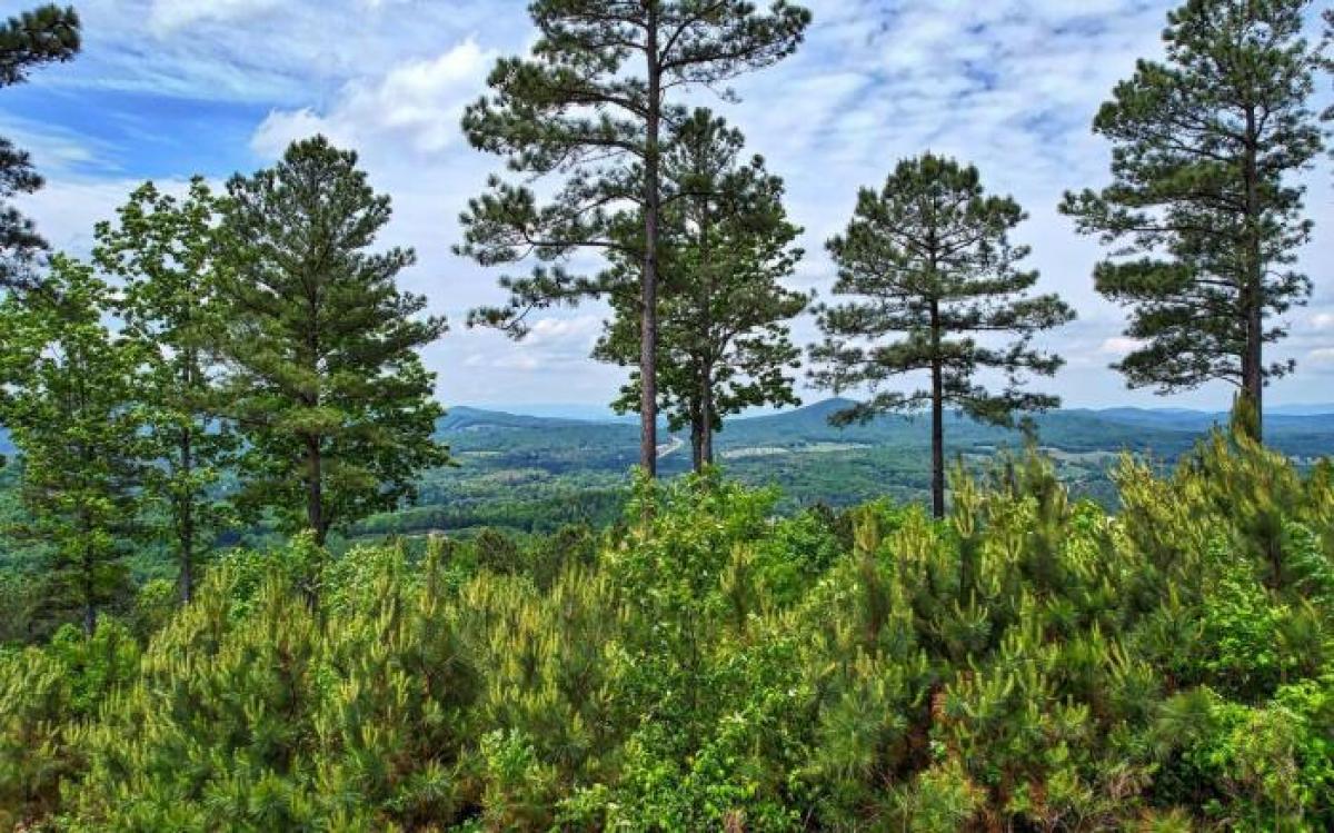 Picture of Residential Land For Sale in Blairsville, Georgia, United States