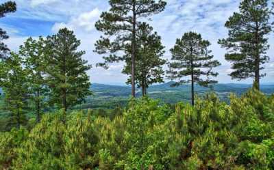 Residential Land For Sale in Blairsville, Georgia