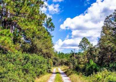 Residential Land For Sale in Georgetown, Florida