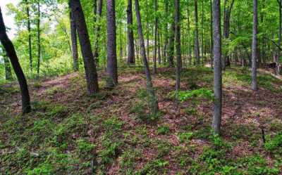 Residential Land For Sale in Blairsville, Georgia