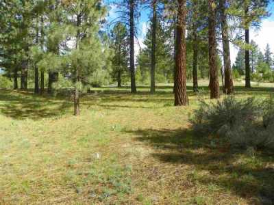 Residential Land For Sale in Portola, California