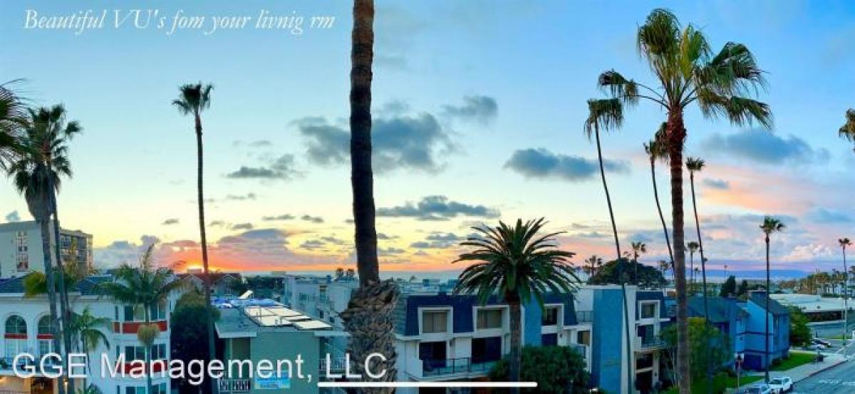 Picture of Apartment For Rent in Redondo Beach, California, United States