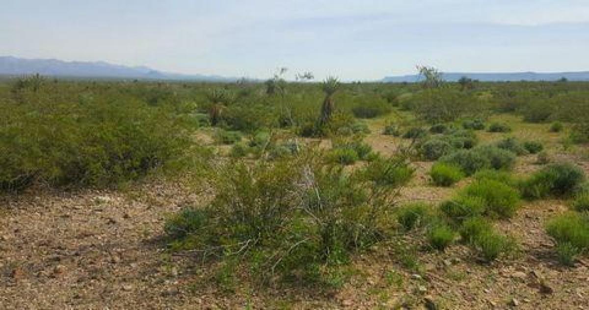 Picture of Residential Land For Sale in Golden Valley, Arizona, United States